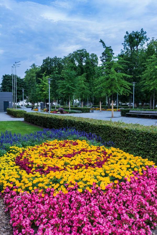 Parkhotel Schillerhoehe 마르바흐암넥카 외부 사진